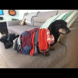 Meet your Posher, Rob